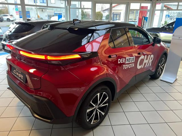 Toyota C-HR Team D