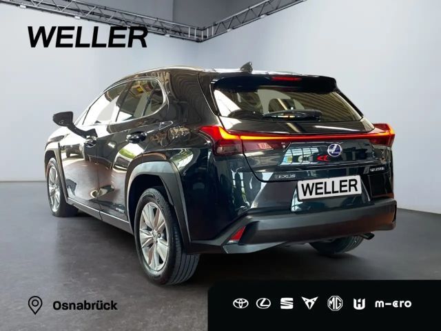 Lexus UX 250h