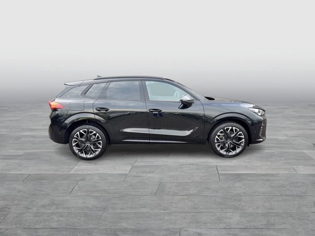 Cupra Terramar 2.0 TSI VZ