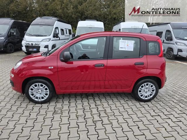 Fiat Panda Icon