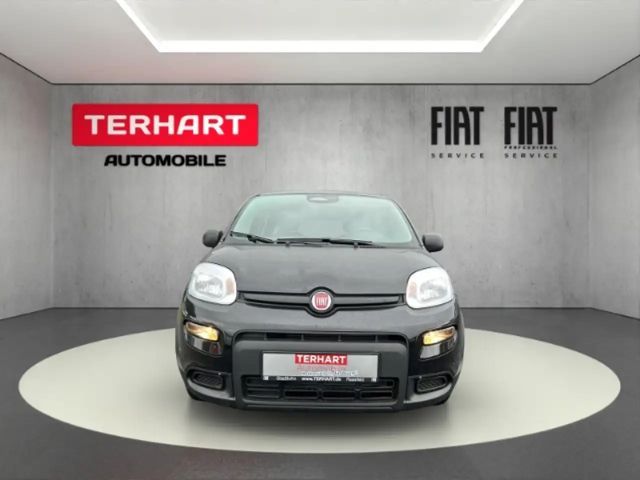Fiat Panda /Pandina 1.0 Mild Hybrid/PDC/Start&Stopp