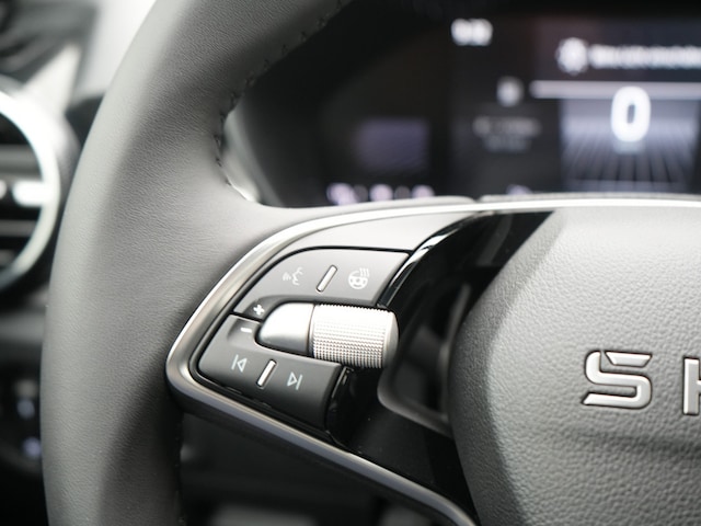 Skoda Fabia Selection