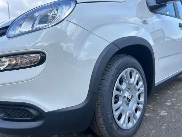 Fiat Panda Pandina 1.0 GSE