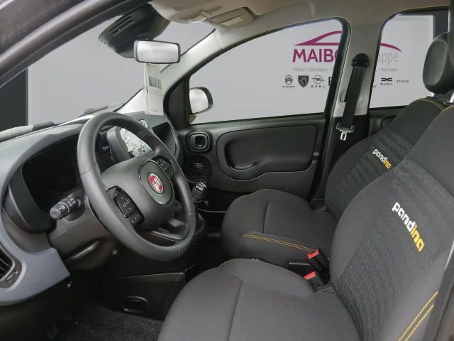 Fiat Panda Pandina 1.0 GSE