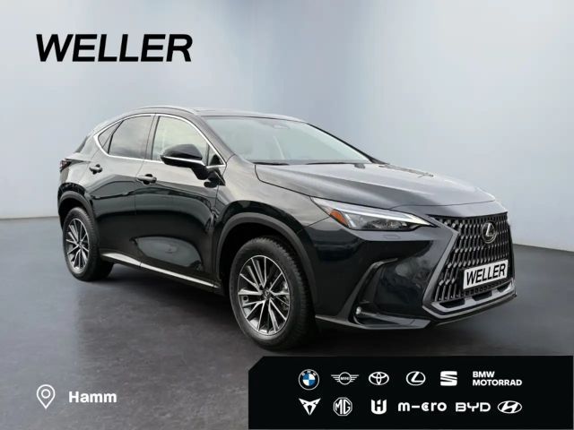 Lexus NX Executive Line