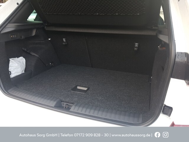 Skoda Kamiq Monte Carlo