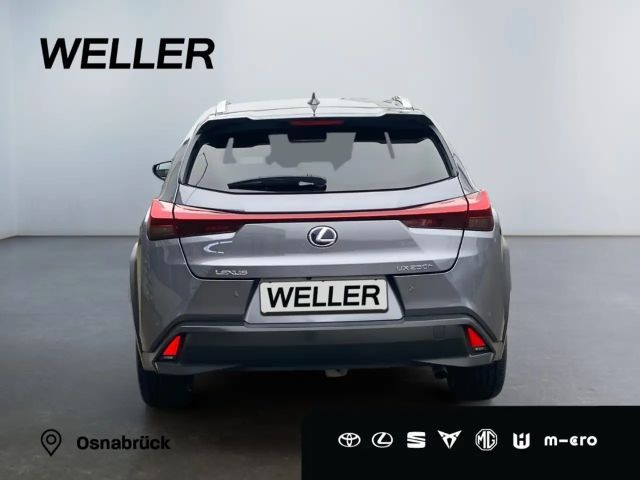 Lexus UX 250h Style Edition