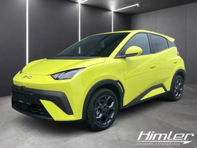 BYD Dolphin Surf Boost