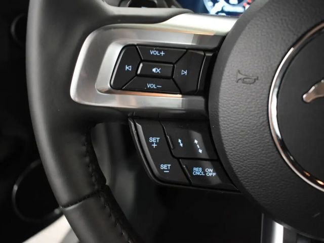 Ford Mustang Convertible GT 5.0 V8