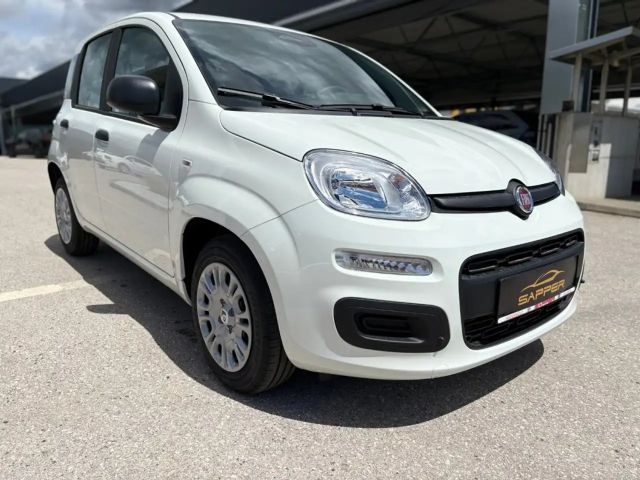 Fiat Panda 4x2