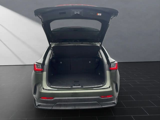 Lexus NX Executive Line