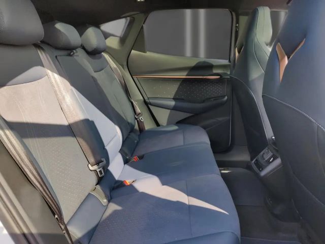 Cupra Tavascan Endurance