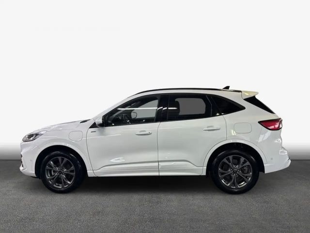 Ford Kuga Plug in Hybrid ST Line
