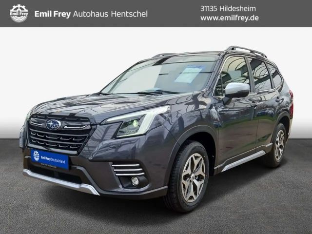 Subaru Forester Comfort