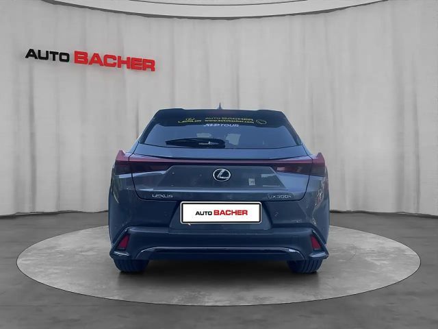 Lexus UX F Sport Sport