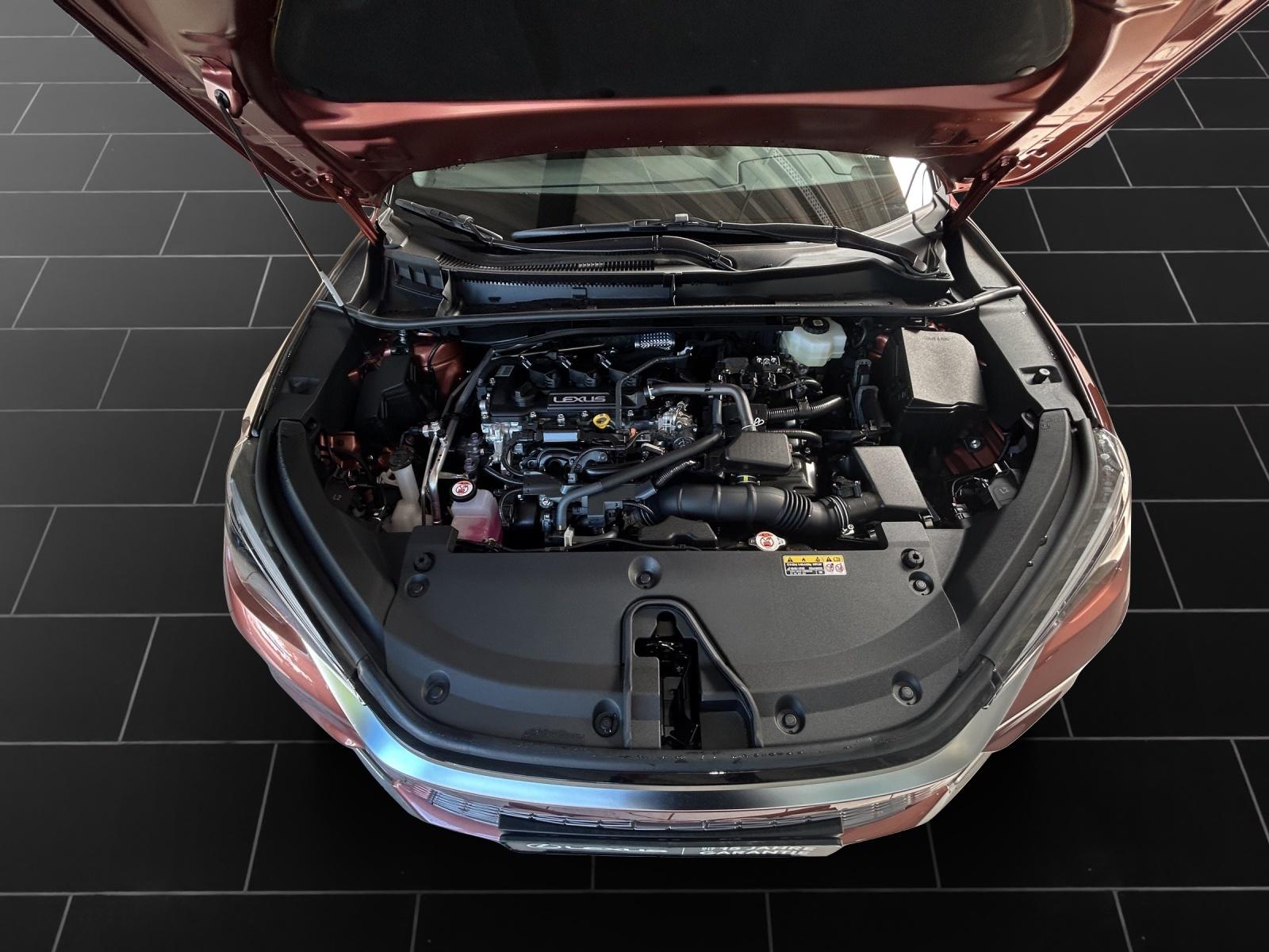 Lexus LBX Emotion