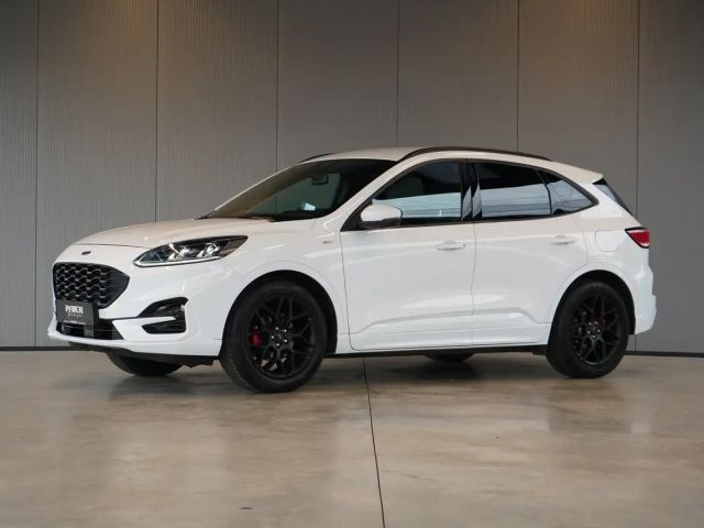Ford Kuga ST Line