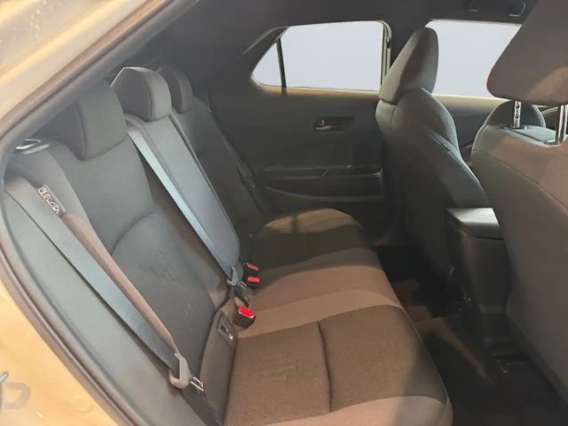 Toyota C-HR Hybride Team D