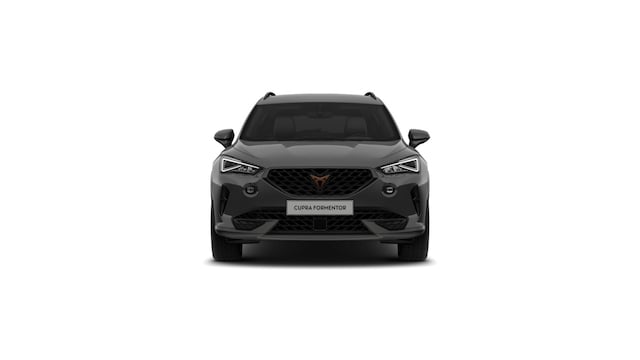 Cupra Formentor Formentor 2.0 TDI Automatik Kamera LED UVM