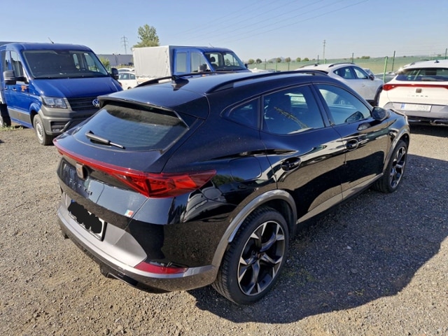 Cupra Formentor 2.0 TSI DSG