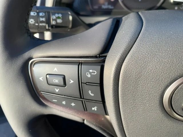 Lexus UX 250h Style Edition