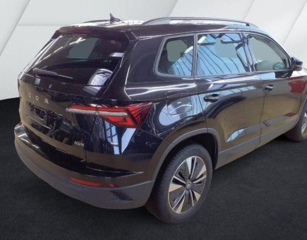 Skoda Karoq 2.0 TDI 4x4 Selection Tour