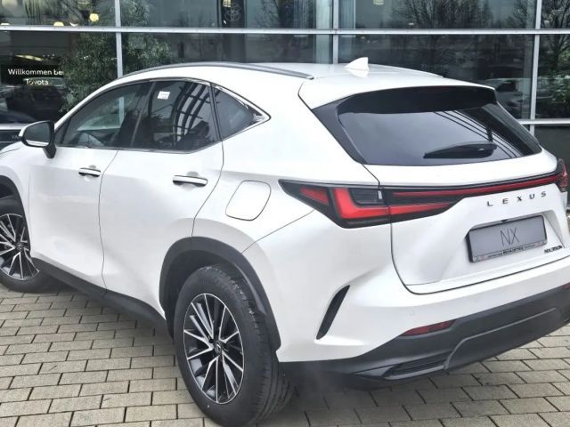 Lexus NX Executive Line
