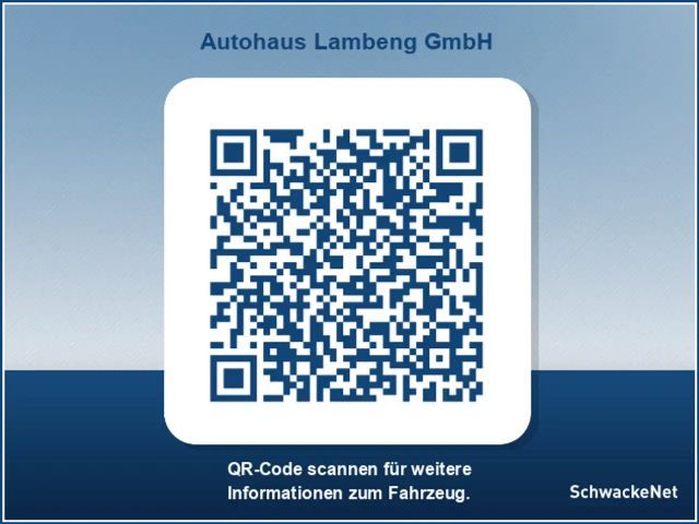 Toyota Corolla Hybride Team D