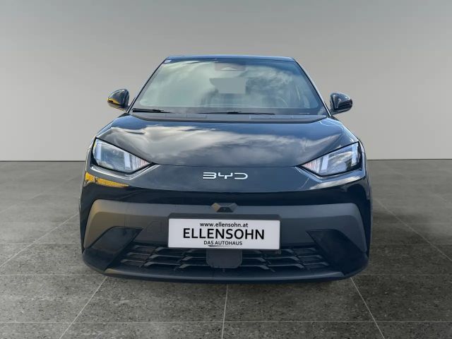 BYD Dolphin Surf Comfort