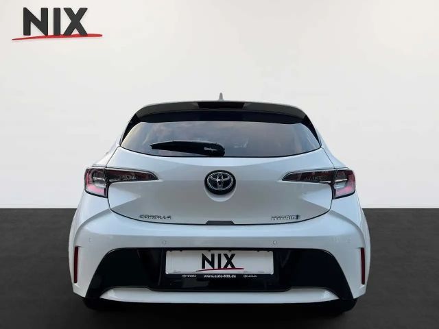 Toyota Corolla Hatchback Team D