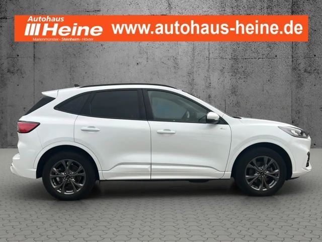 Ford Kuga Plug in Hybrid ST Line