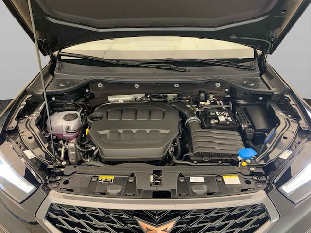 Cupra Ateca 2.0 TSI DSG