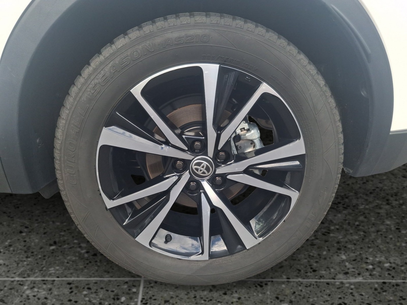 Toyota C-HR 5-deurs Team D