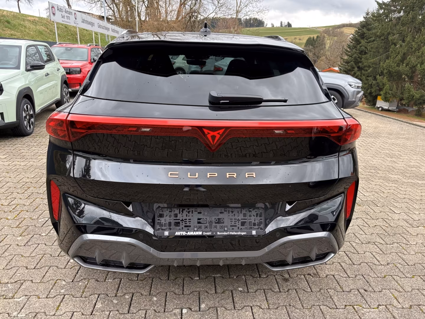 Cupra Terramar 2.0 TSI VZ