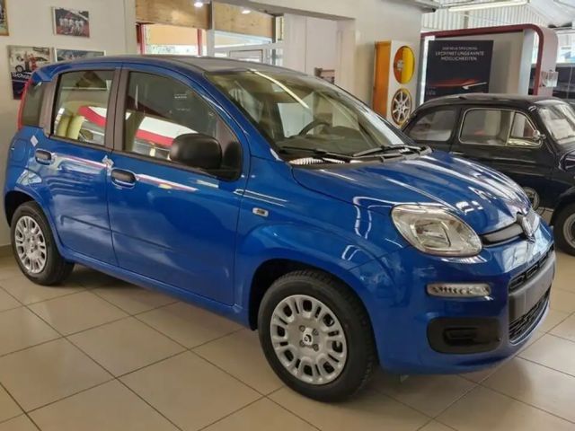 Fiat Panda Panda
