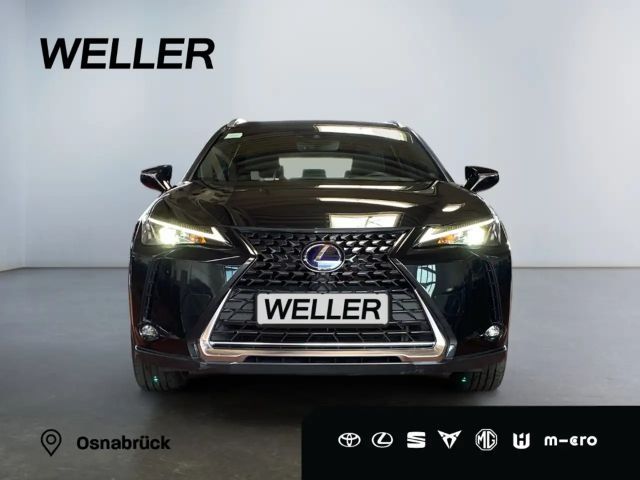 Lexus UX 250h