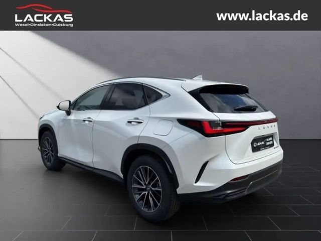 Lexus NX Executive Line