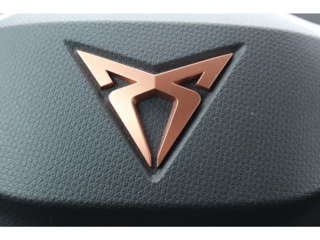 Cupra Tavascan Endurance