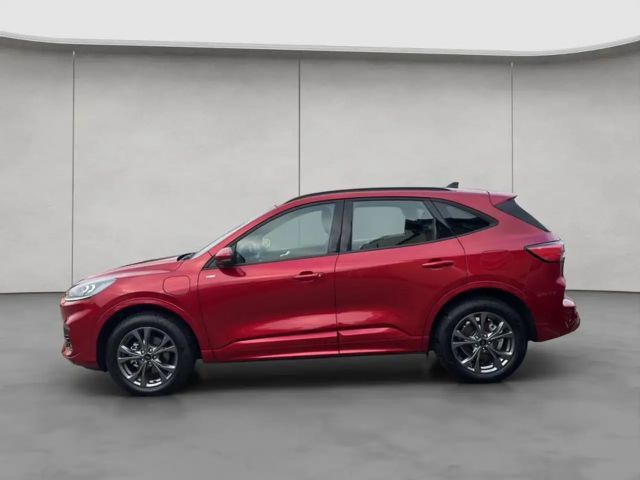 Ford Kuga Plug in Hybrid ST Line