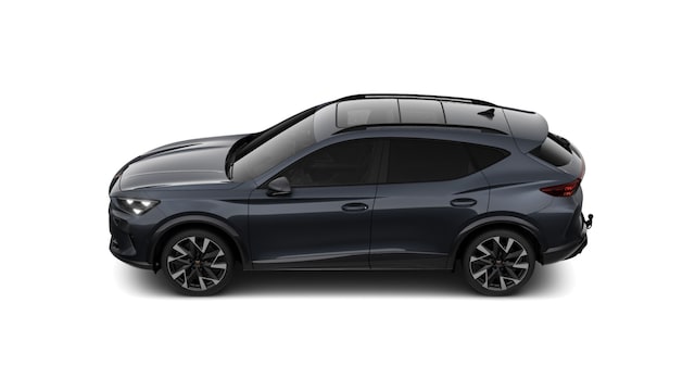 Cupra Formentor 2.0 TSI VZ