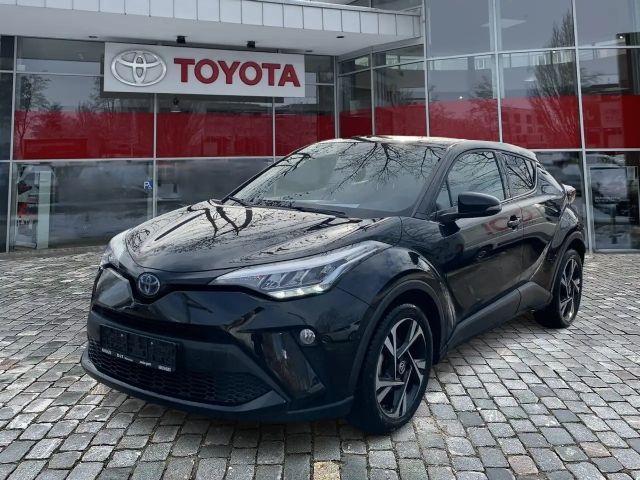 Toyota C-HR Team D