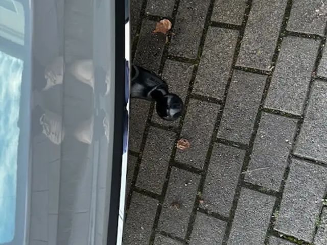 Skoda Karoq Sportline