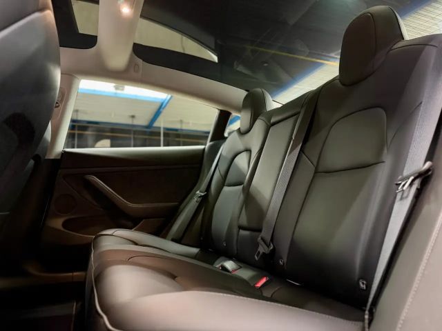 Tesla Model 3 Performance