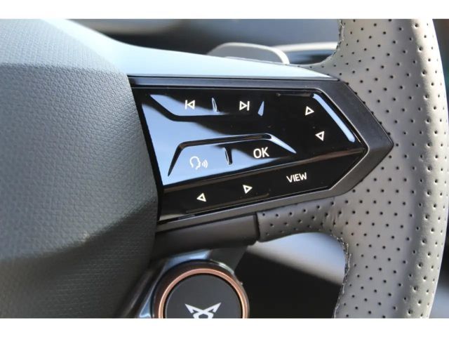 Cupra Tavascan Endurance