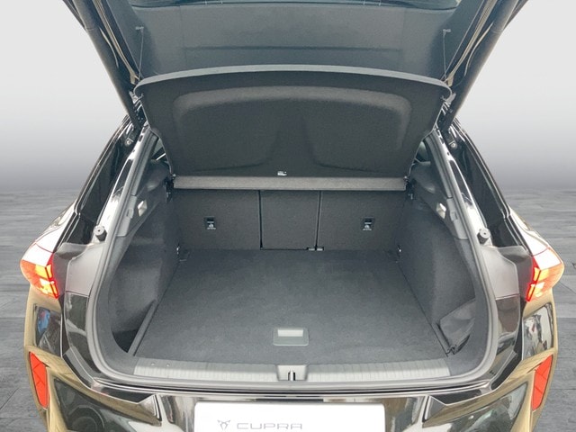 Cupra Terramar 2.0 TSI VZ