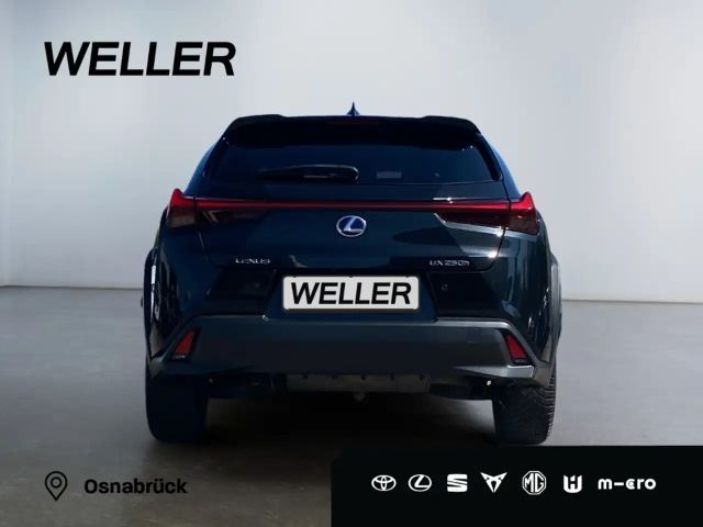 Lexus UX 250h Amazing edition
