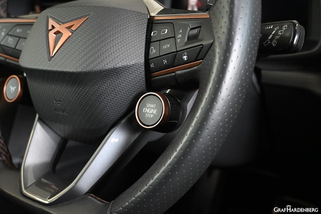 Cupra Formentor 2.0 TSI 4Drive VZ