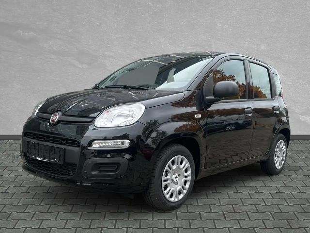 Fiat Panda Pop