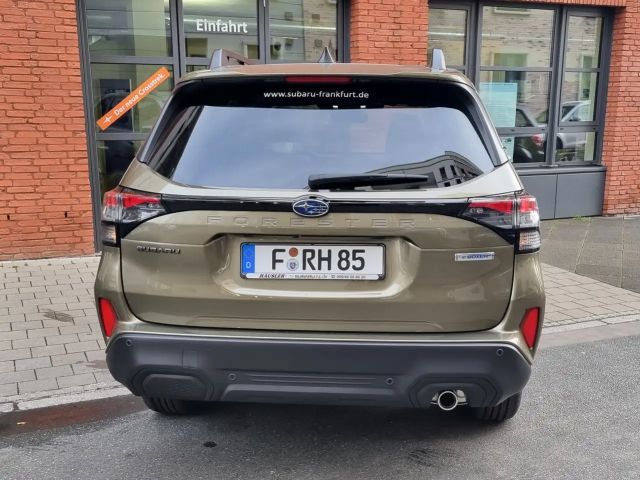 Subaru Forester Exclusive