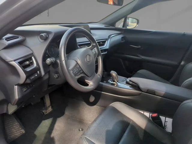 Lexus UX Basis Klima Kamera Sitzhzg Tempomat